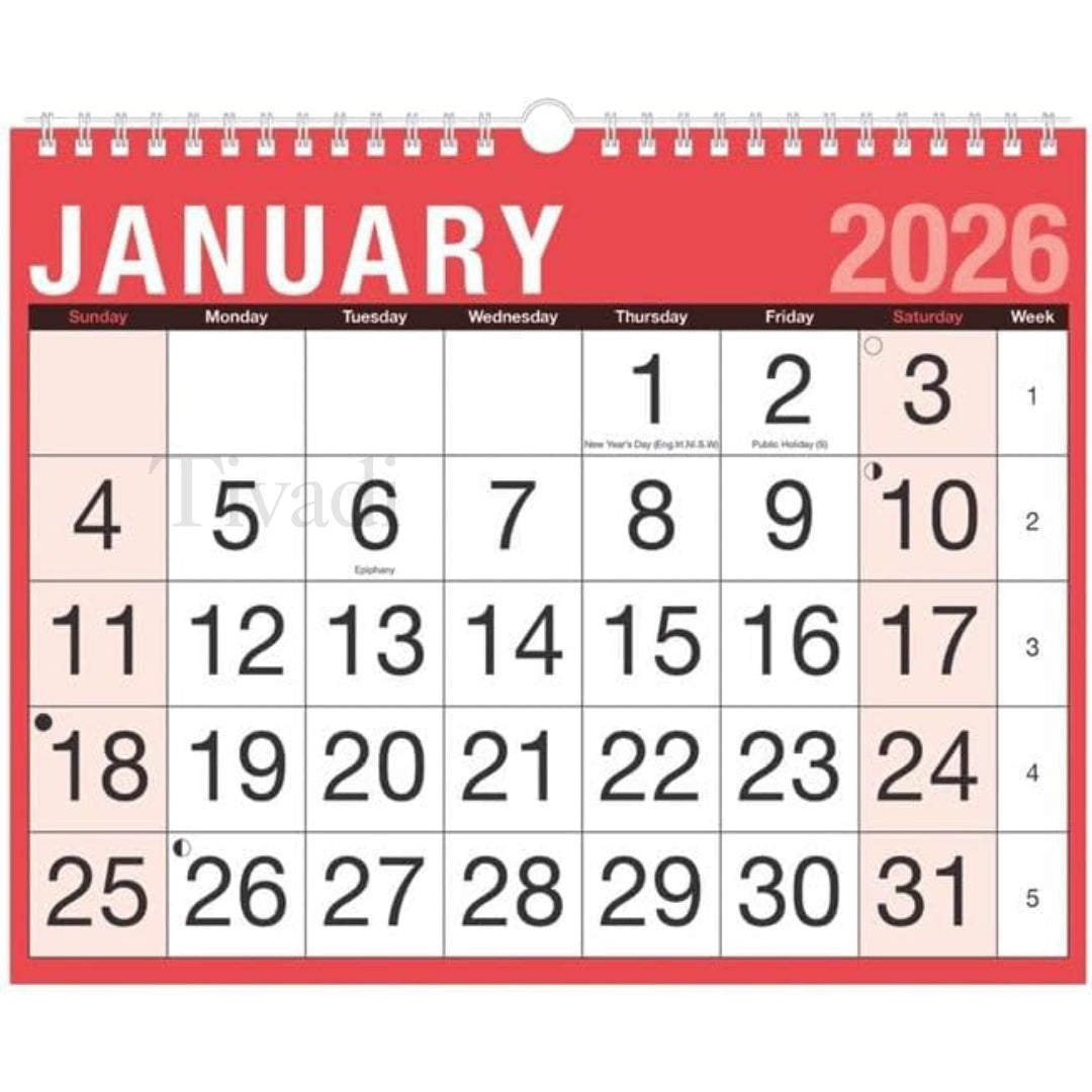 2026 Wall Calendar,Slim A4 Monthly Planner,Large Month to View Planner,Easy View